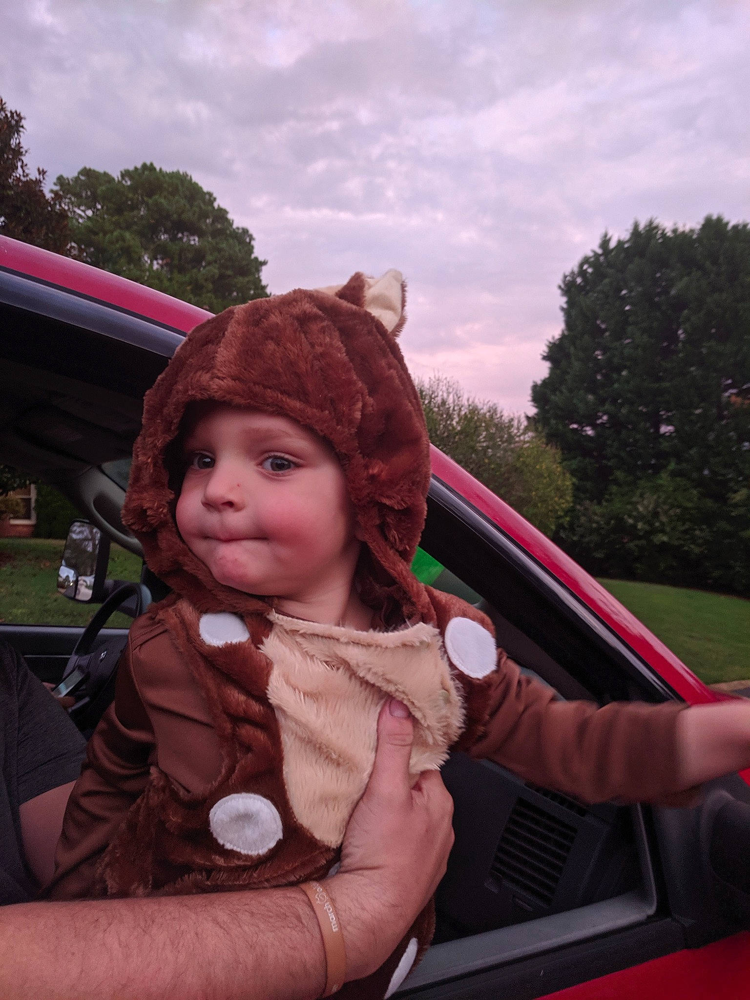 Cayson joined the competition — help win amazing prizes! auto_part, automotive_exterior, automotive_window_part, car, family_car, fawn, fun, fur, headwear, person, photography, steering_wheel, vehicle, vehicle_door, windshield