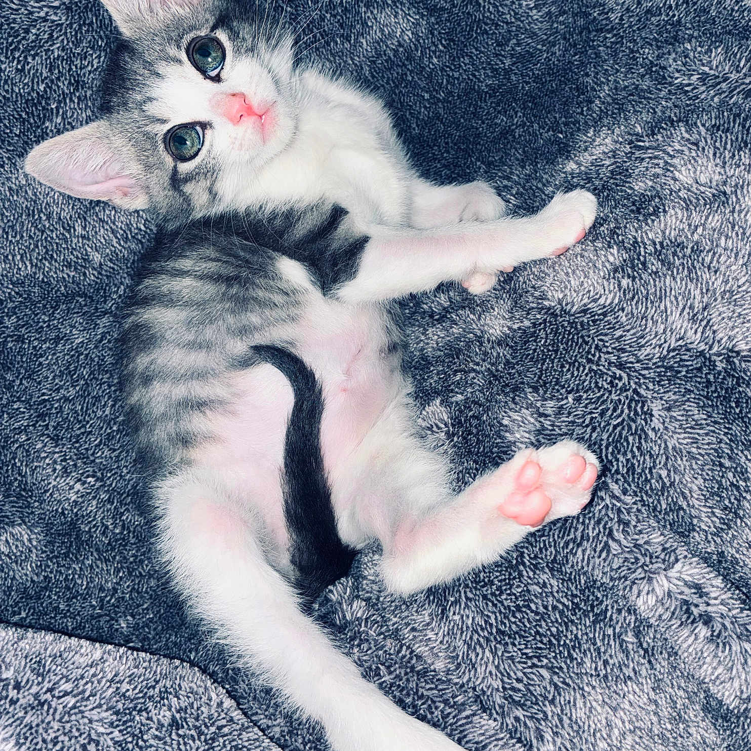 Skye