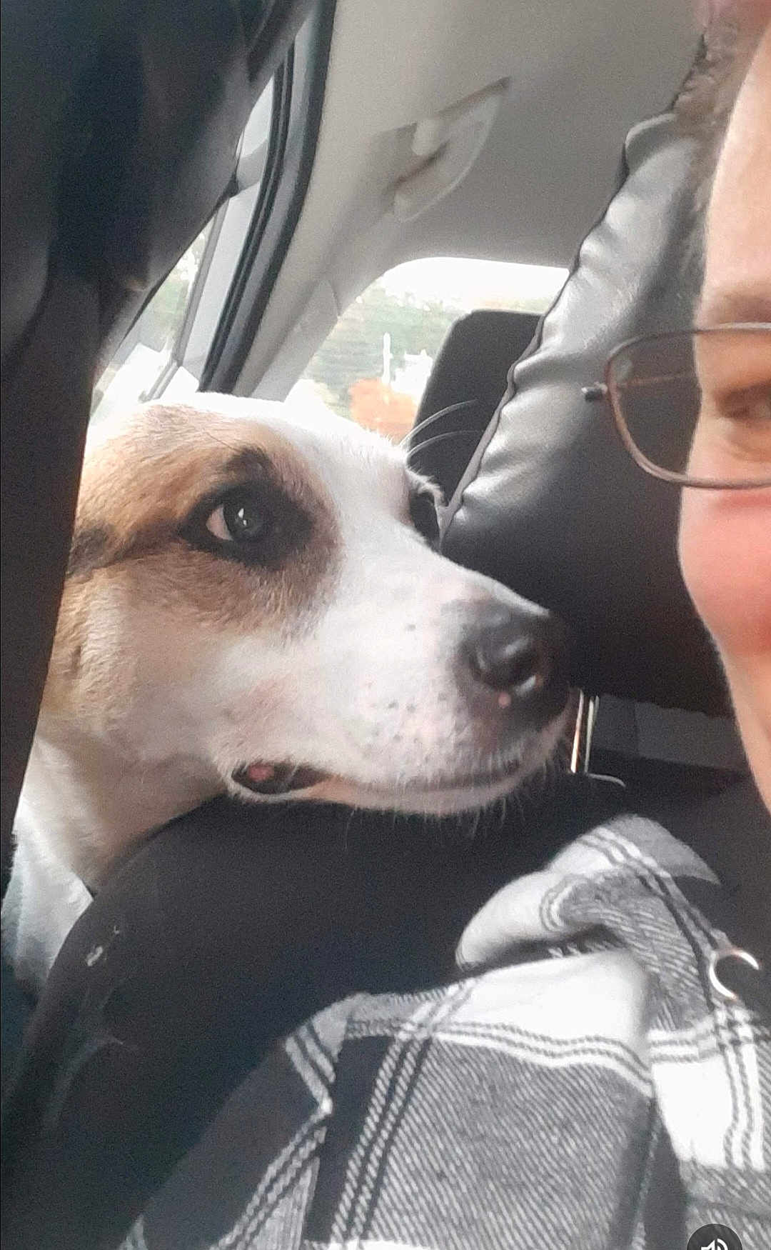 Marley