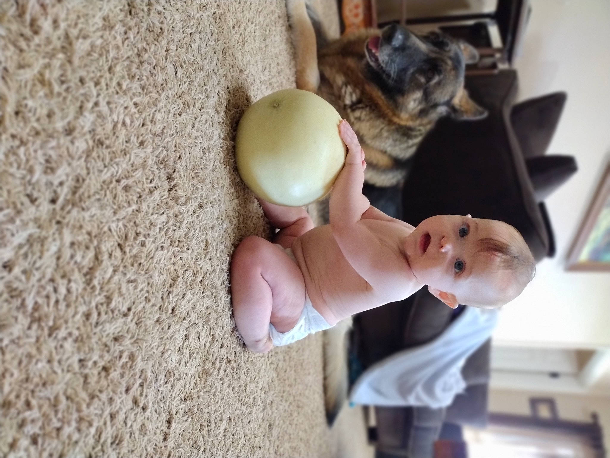 Elaine is registered to the contest to win money with this photo: abdomen, baby, child, elbow, figurine, finger, fur, gesture, happy, person, room, sitting, smile, soil, stuffed_toy, surprise, toy, wood