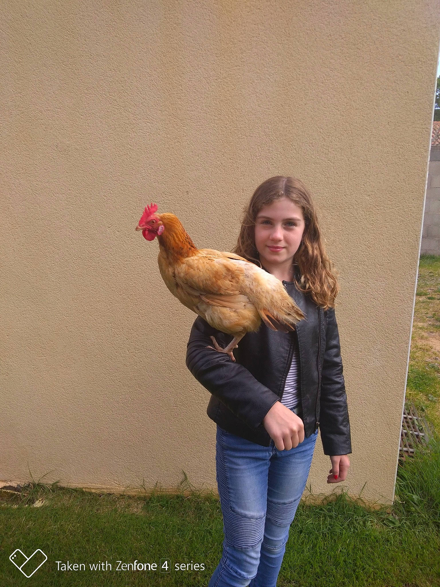 Line participe au concours pour gagner de l'argent avec cette photo : beak, bird, chicken, comb, fowl, galliformes, joy, livestock, person, poultry, rooster