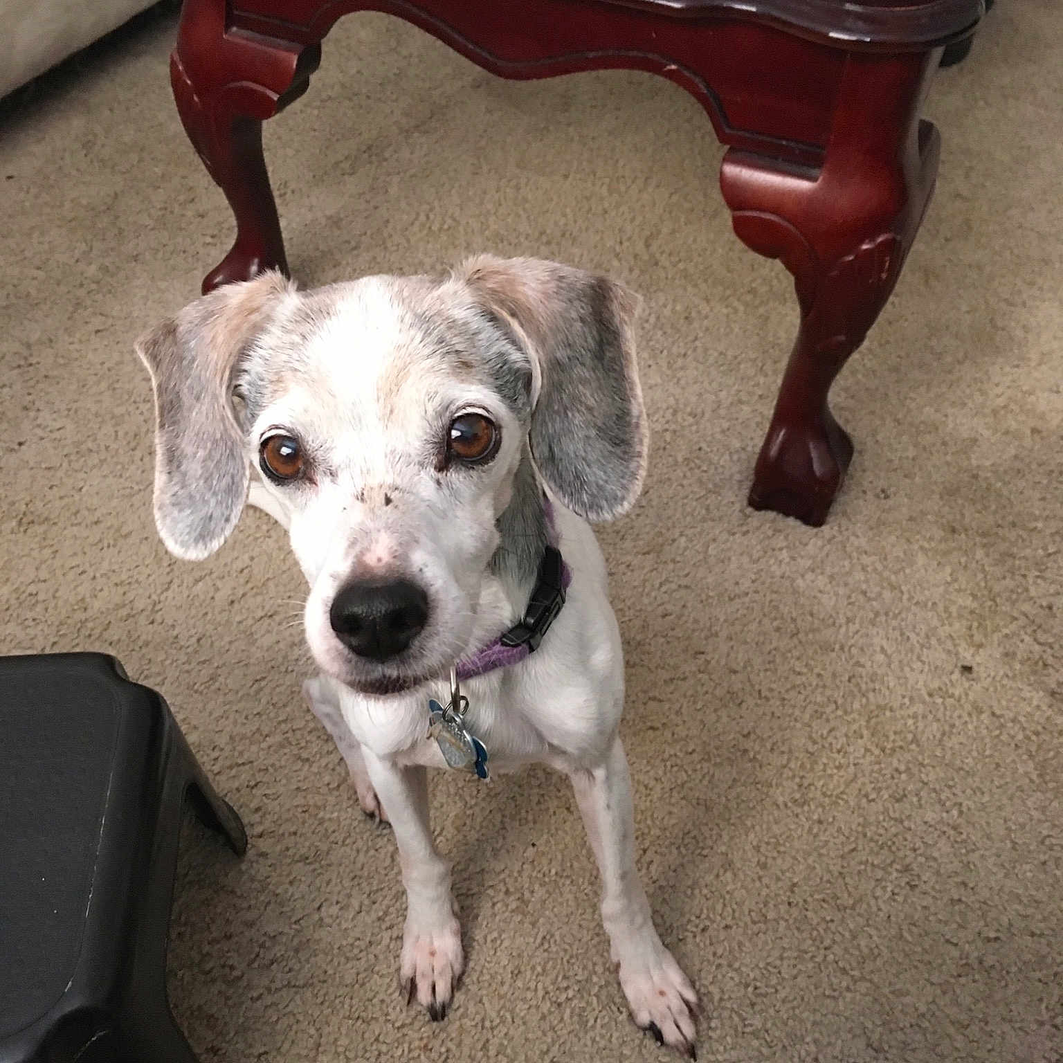 Jenny