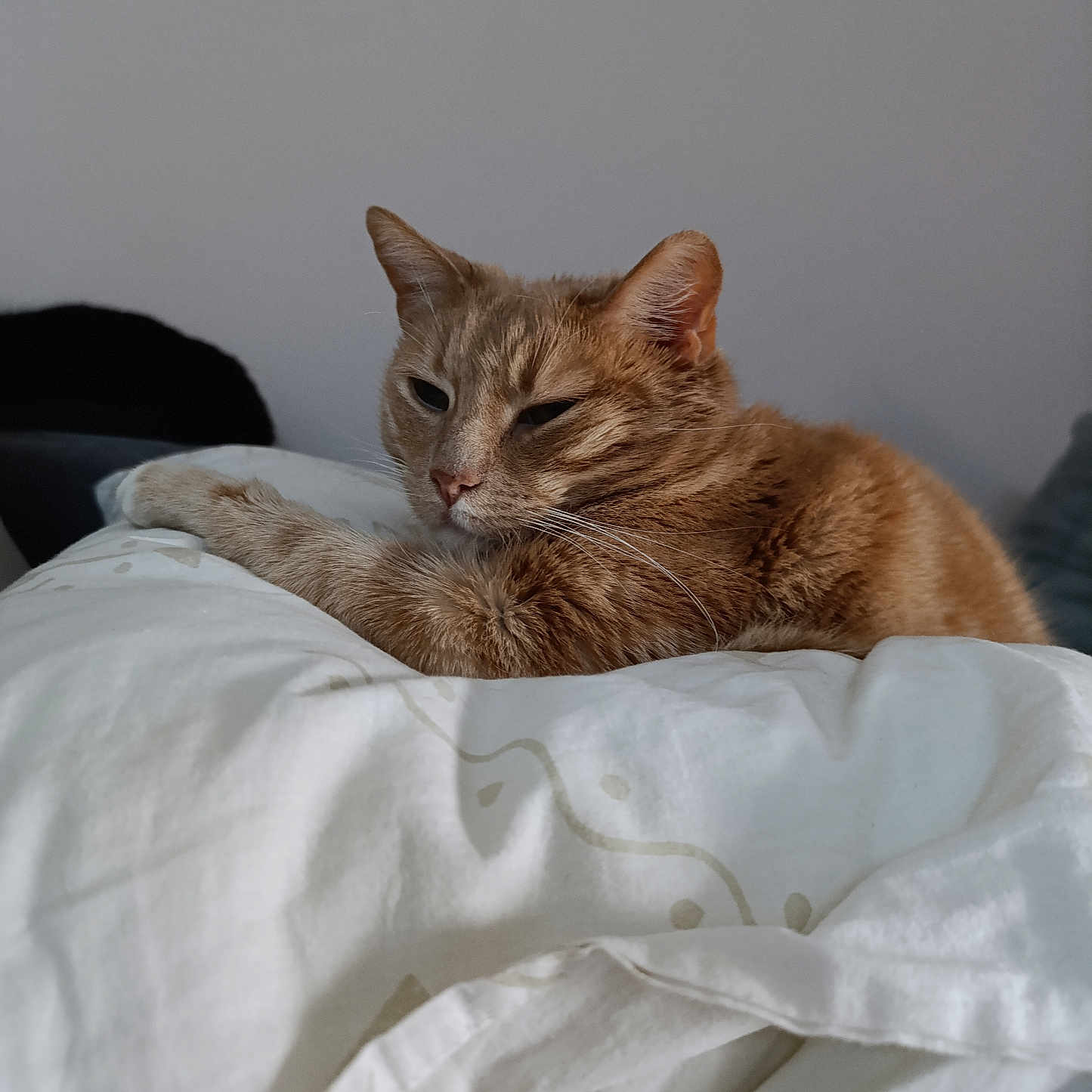 Tiberius