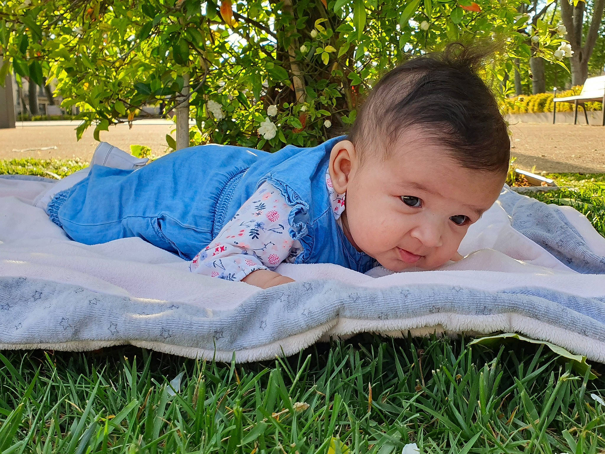 Jinene participe au concours pour gagner de l'argent avec cette photo : baby, child, grass, leisure, person, toddler