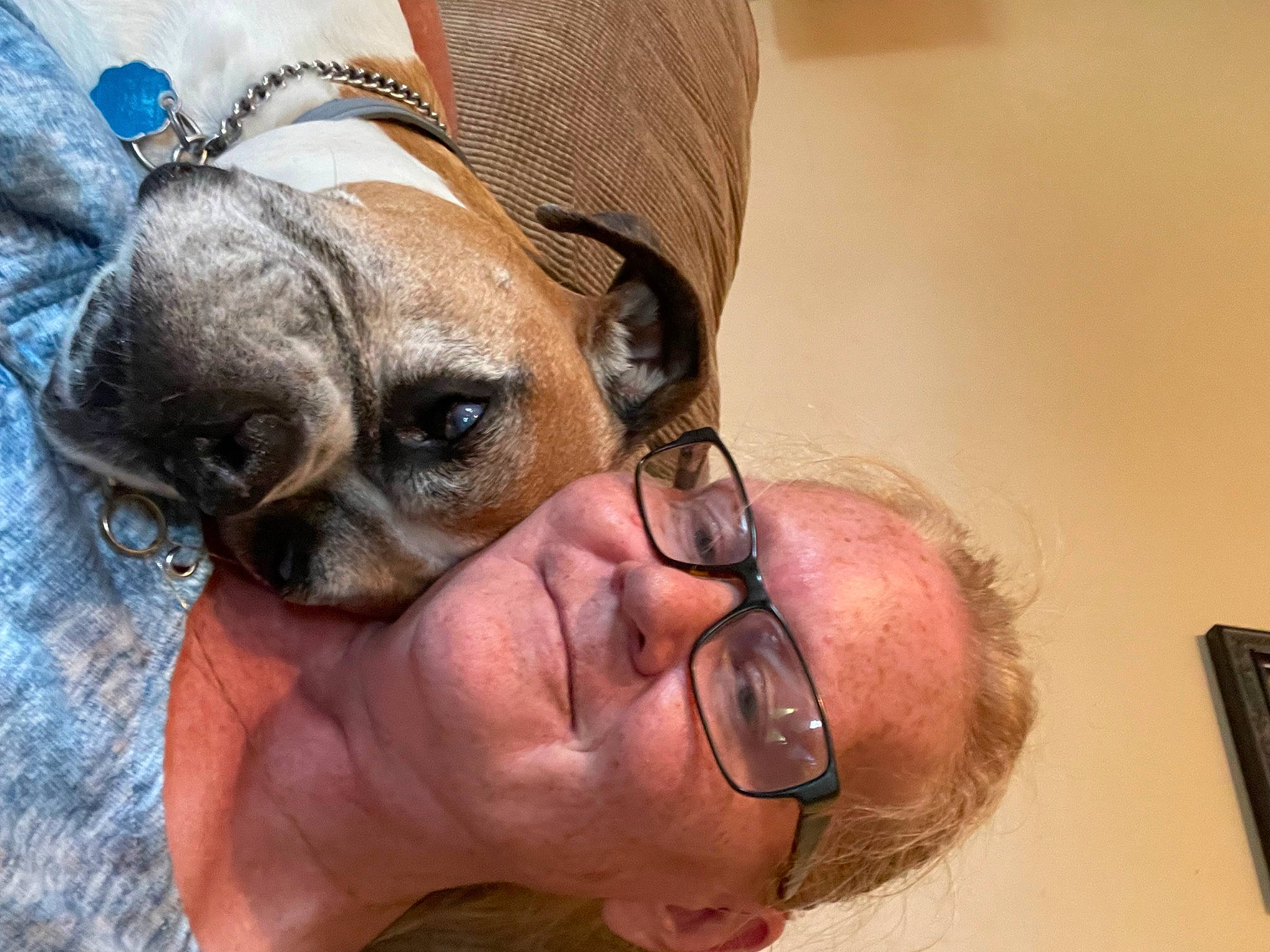 Bella joined the competition — help win amazing prizes! carnivore, companion_dog, dog, dog_breed, ear, eyewear, fawn, gesture, glasses, happy, mammal, nose, skin, smile, snout, sunglasses, toy_dog, vision_care, whiskers, wrinkle