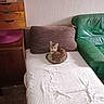bed, brown_cushion, cat, cozy, curled_up, domestic_cat, floor, furniture, green_couch, home, indoor, leather_couch, pet, poster, relaxing_cat, tabby_cat, wall, white_bedspread, wooden_dresser, yoshi_poster