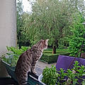 Aurore L.