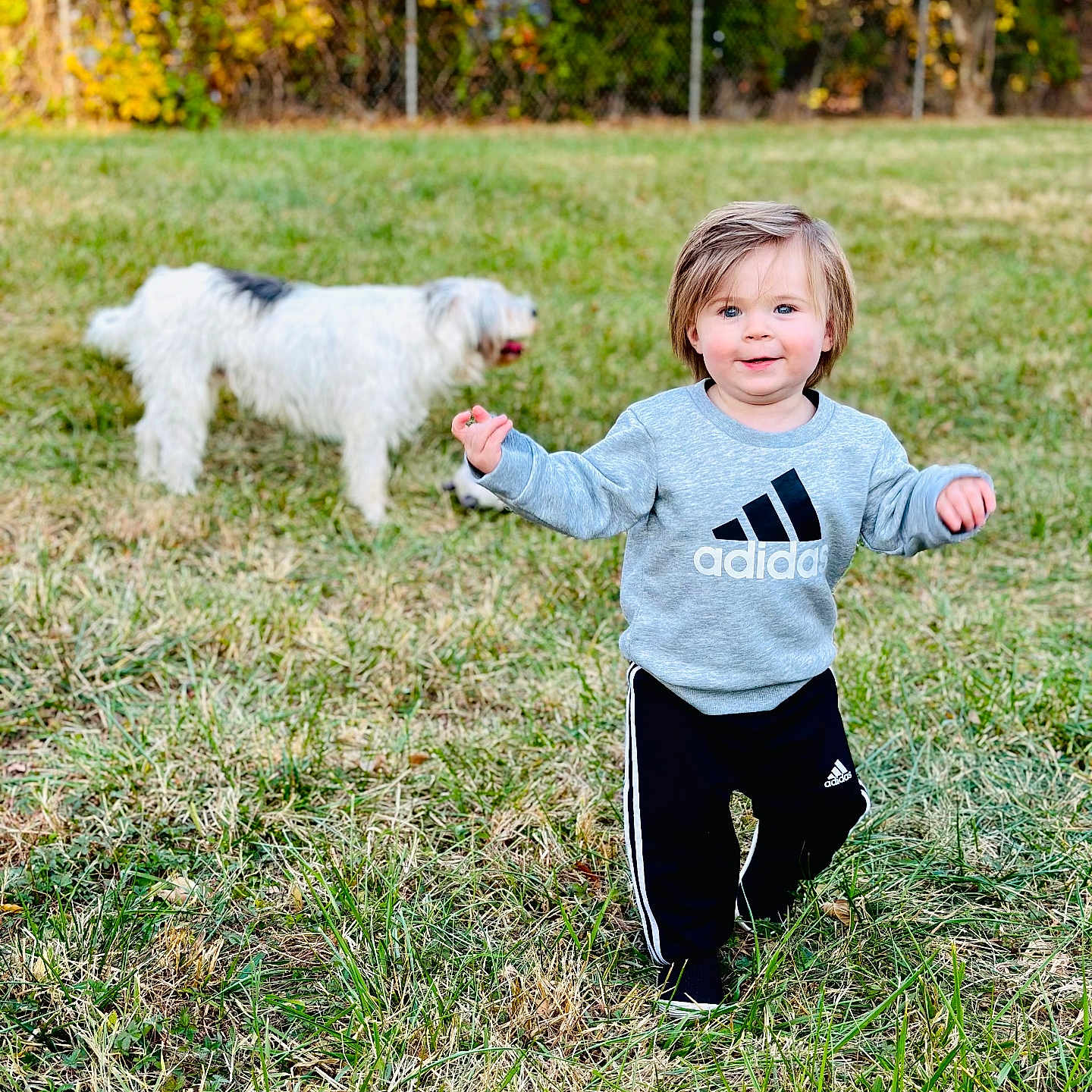 Lucas joined the competition — help win amazing prizes! ball, boy, child, clothing, face, football, grass, head, nature, outdoors, park, person, photography, plant, portrait, soccer, soccerball, sport, t_shirt, vegetation