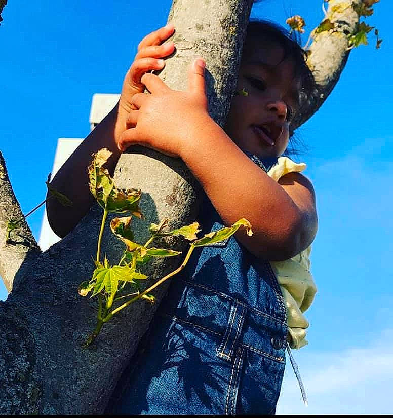 Ambre a rejoint le concours — aidez-le/la à gagner de superbes lots ! adaptation, branch, child, fun, happy, human, person, photography, plant, sky, smile, tree, woody_plant, world, yellow