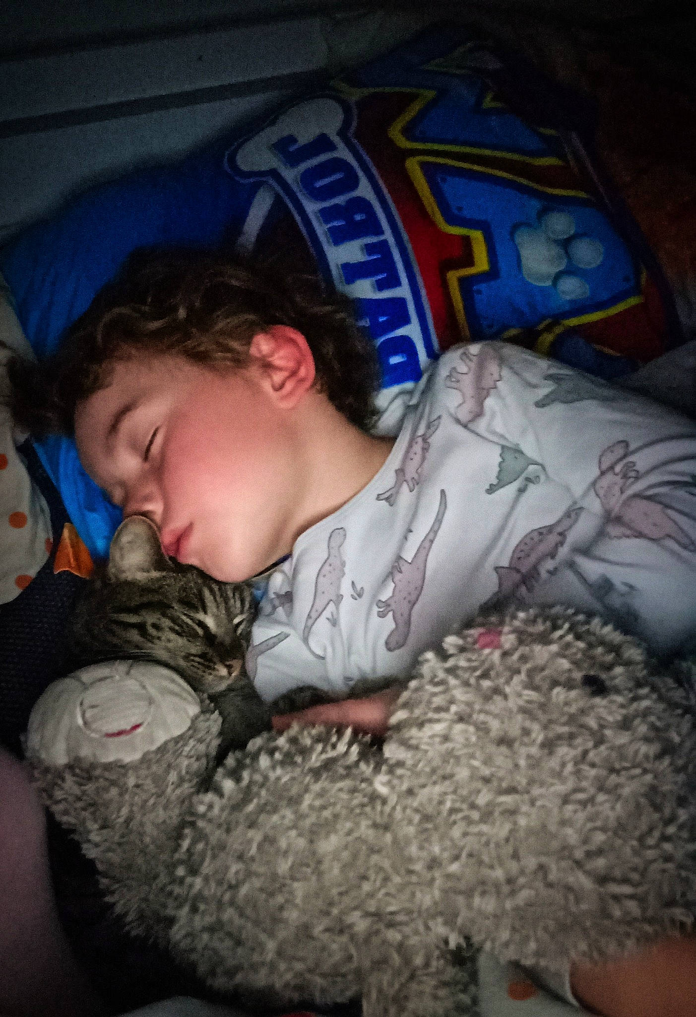 Maya a rejoint le concours — aidez-le/la à gagner de superbes lots ! baby, baby_toddler_clothing, child, comfort, flooring, fun, fur, linens, nap, pattern, room, sitting, t_shirt, toddler, wool