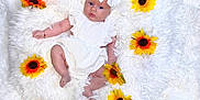 Noelymar is registered to the contest to win money with this photo: baby, infant, white_clothing, headband, bow, bracelet, sunflowers, fluffy_blanket, milestone_card, 2_months, portrait, cute, lying_down, soft_texture, yellow_flowers, baby_girl, newborn, decor, indoors, closeup