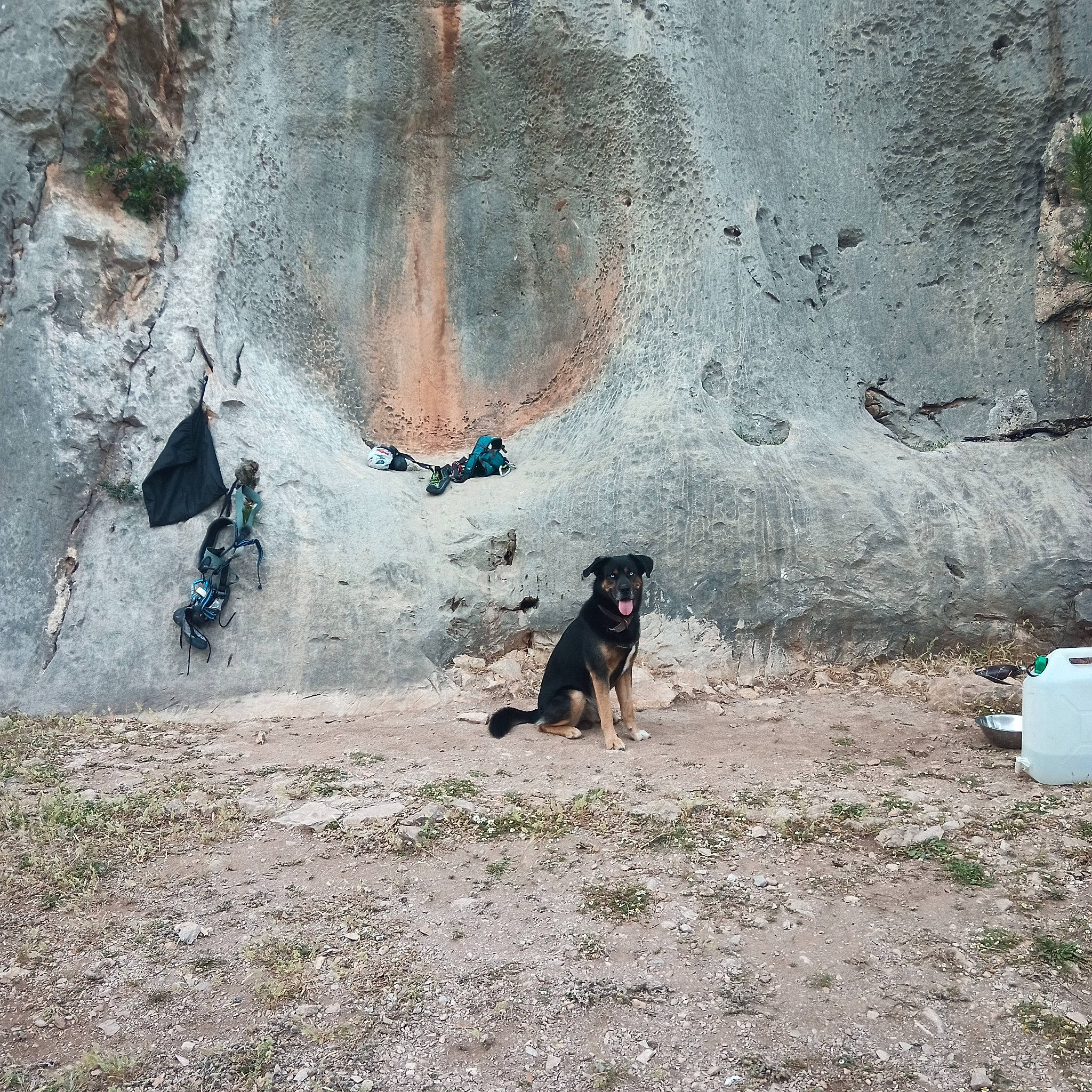 Sacoche participe au concours pour gagner de l'argent avec cette photo : art, bedrock, canidae, carnivore, dog, dog_breed, geological_phenomenon, landscape, outcrop, painting, recreation, rock, shadow, slope, soil, sporting_group, tints_and_shades, tree, visual_arts, working_animal