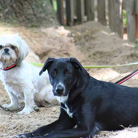 Mindy Et Prince