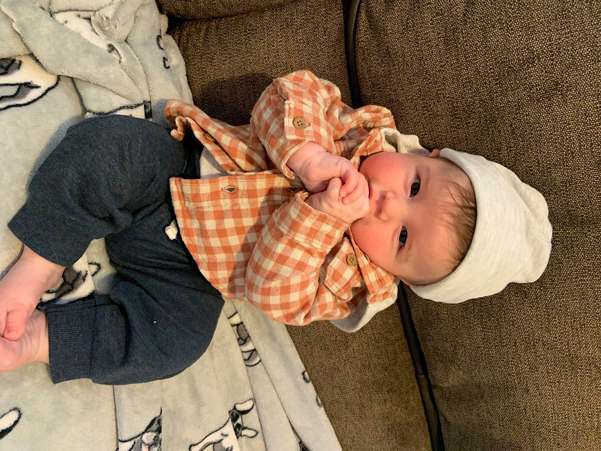 Kaden joined the competition — help win amazing prizes! arm, baby, baby_products, baby_toddler_clothing, child, comfort, finger, hand, lap, linens, pattern, person, plaid, room, sitting, sleeve, tartan, thigh, toddler, tree