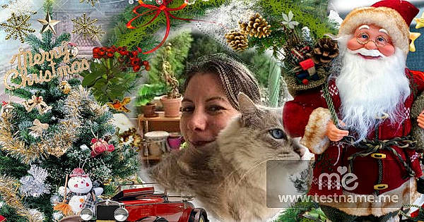 Mélodie participe au concours pour gagner de l'argent avec cette photo : christmas, christmas_decoration, christmas_eve, christmas_ornament, conifer, event, fawn, fictional_character, fun, fur, happy, hat, holiday, holiday_ornament, interior_design, ornament, plant, santa_claus, toy, tradition