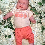 Elena is registered to the contest to win money with this photo: baby, clothing, cushion, face, flower, head, homedecor, hosiery, leaf, newborn, pants, person, petal, photography, plant, portrait, rose, shorts, sleeping, sock