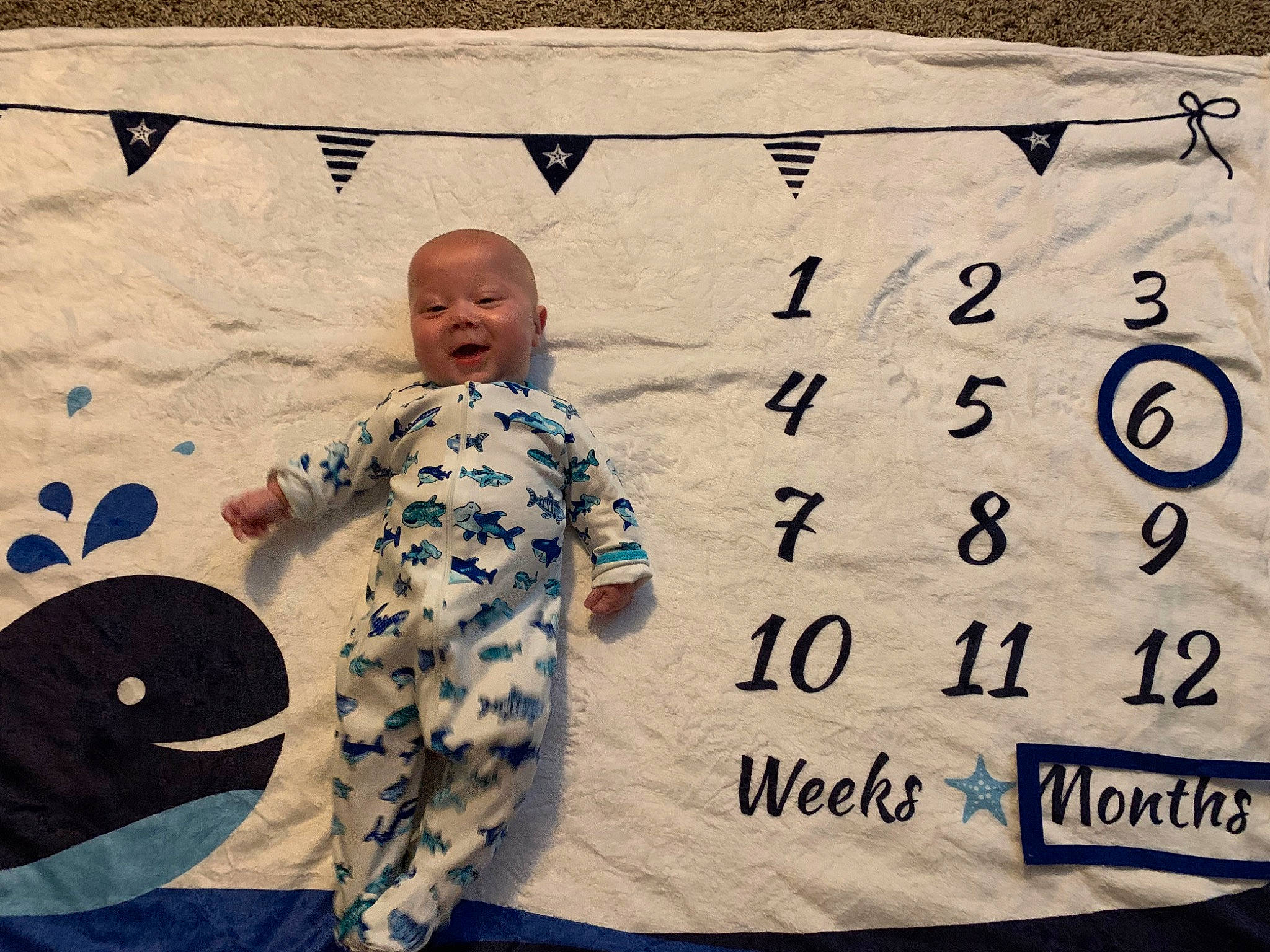 Elliott is registered to the contest to win money with this photo: child, cool, facial_expression, font, happy, leisure, linens, morning, pattern, people_in_nature, person, rectangle, sleeve, smile, t_shirt, textile, tints_and_shades, toddler, travel, visual_arts