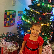 Noella is registered to the contest to win money with this photo: child, girl, christmas_tree, christmas_lights, christmas_decorations, presents, gift_bags, red_dress, holiday, smiling, indoor, carpet, wall, stocking, poster, alphabet_poster, number_poster, black_shoes, festive, happy