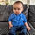 Mylan