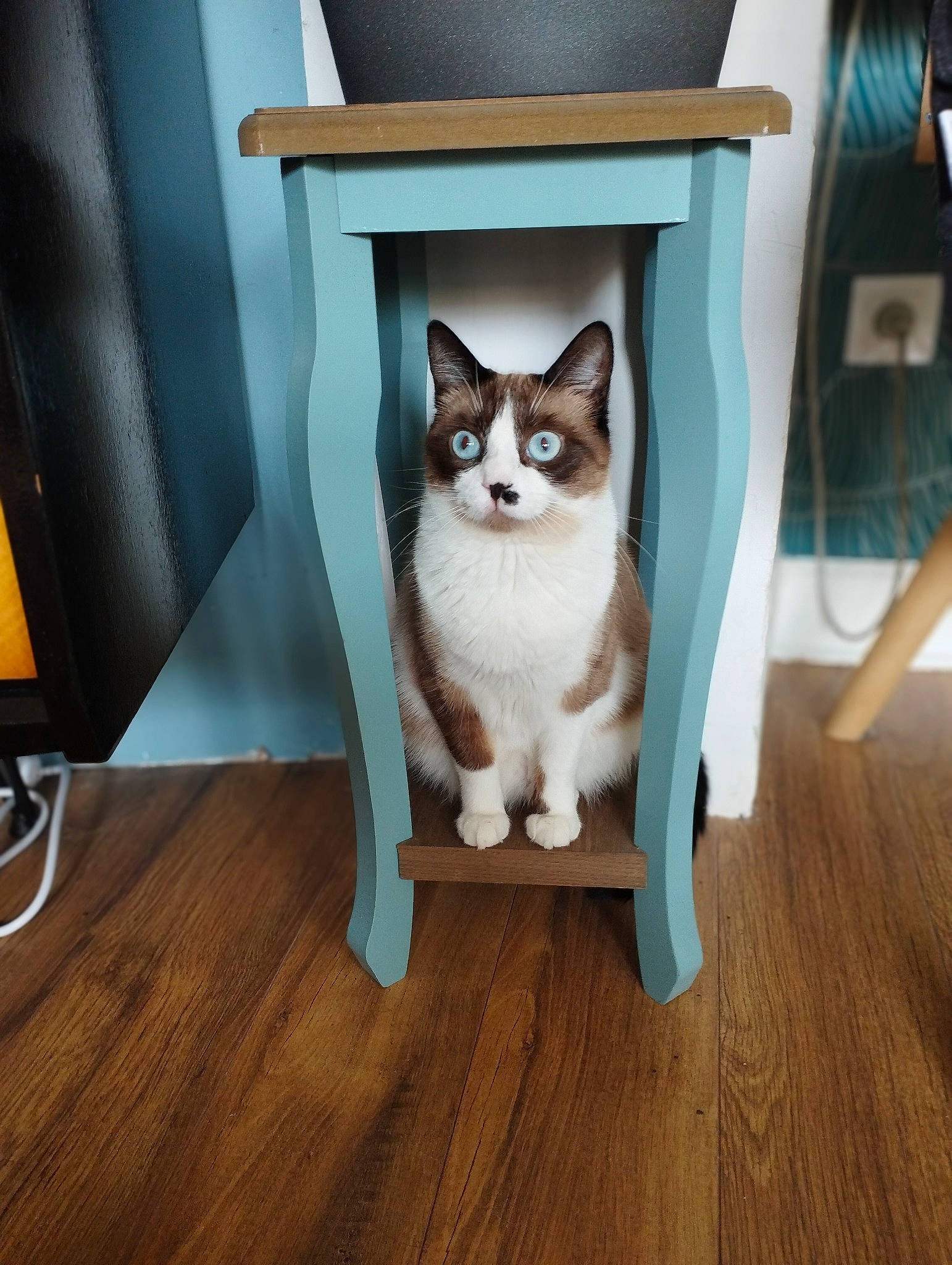 Yuki