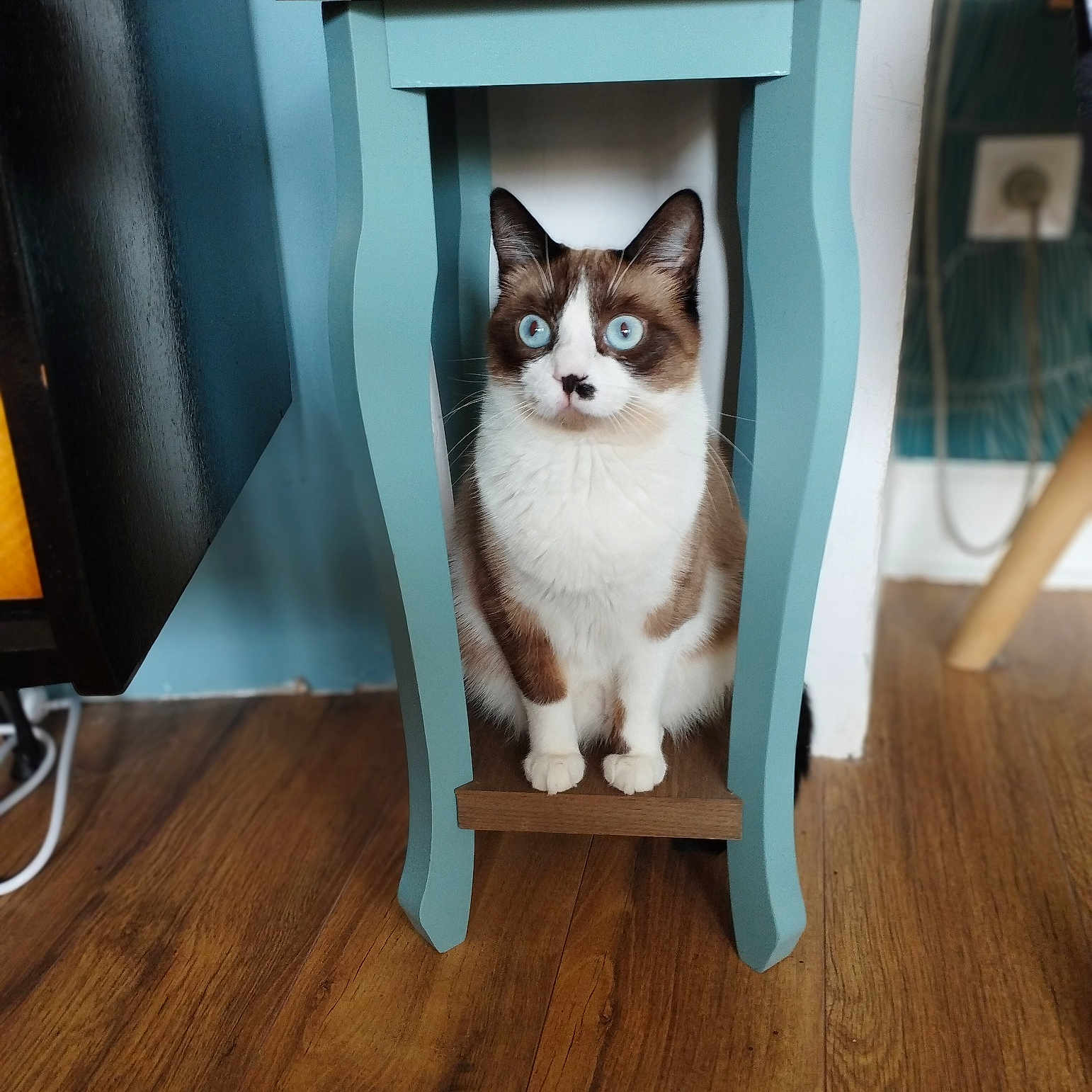 Yuki