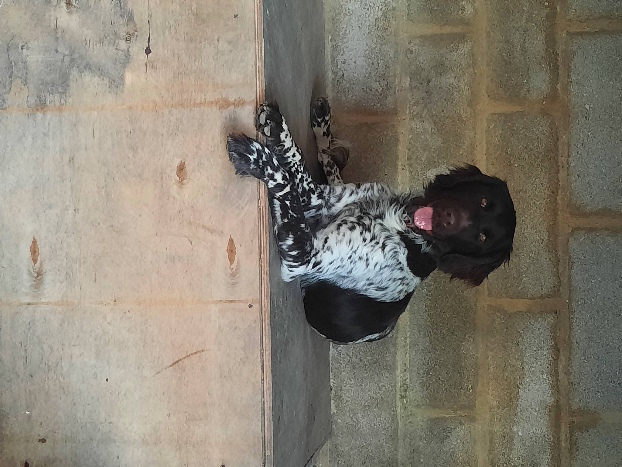 Ragnard participe au concours pour gagner de l'argent avec cette photo : adventure, concrete, dress, grey, metal, recreation, shadow, street, sunglasses, tree, visual_arts, waist, water, window, wood