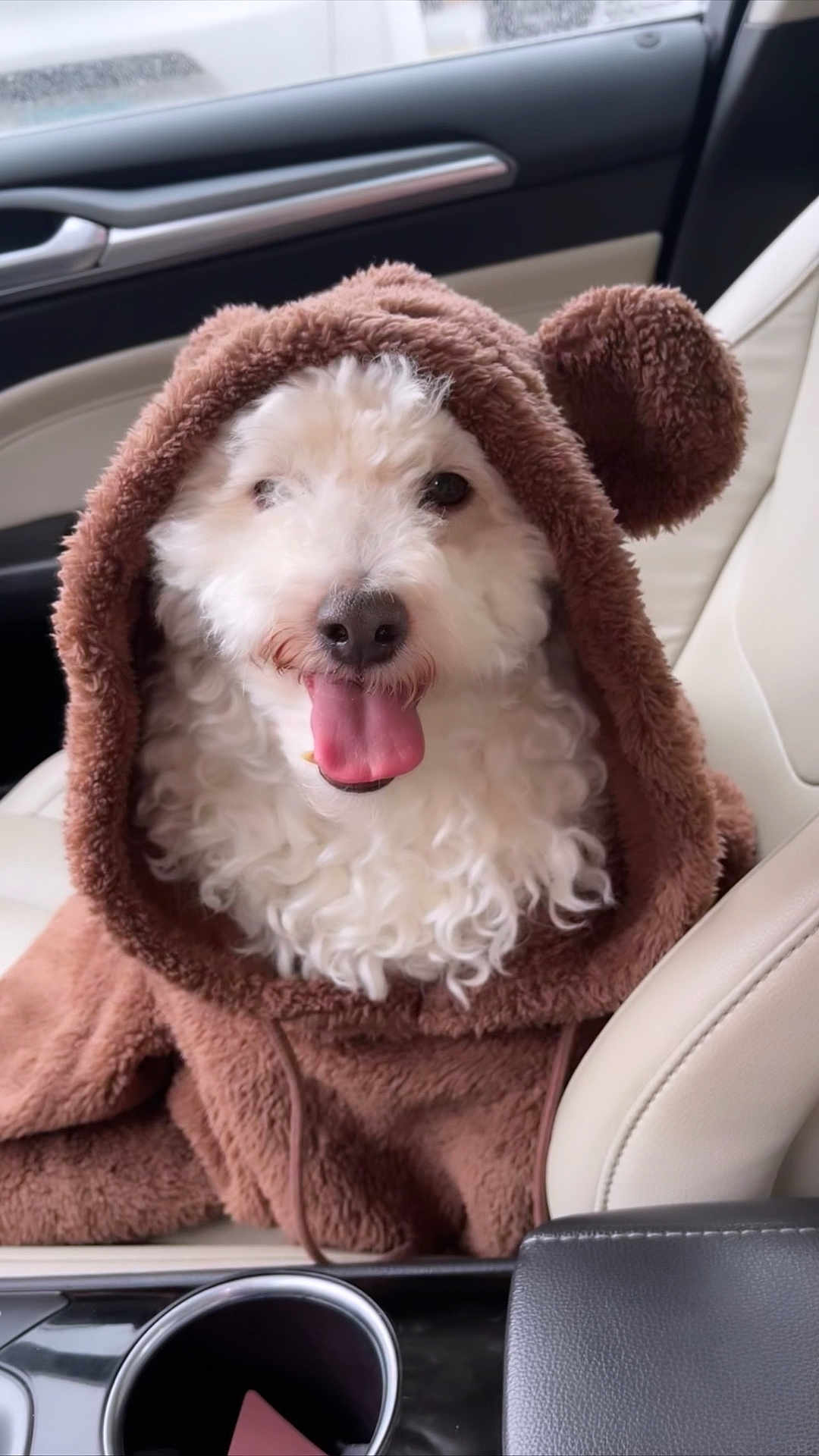 Toby