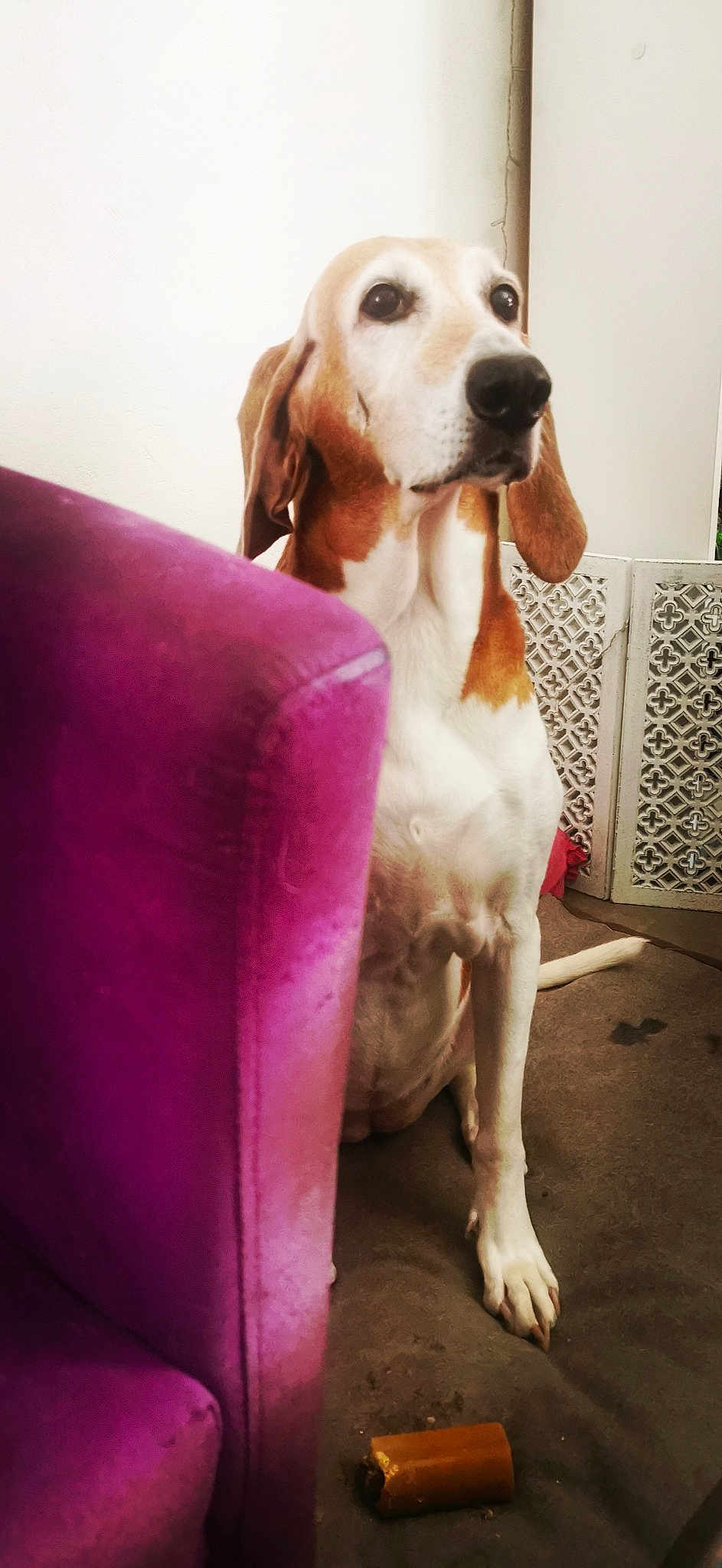 Agatha