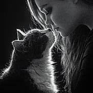 Thumper is registered to the contest to win money with this photo: black_and_white, cat, woman, profile, intimate, close_up, pet, animal, face, silhouette, lighting, contrast, portrait, feline, human, love, affection, tenderness, monochrome, interaction