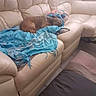 blanket, blue, brown, calm, couch, cozy, dog, furniture, home, indoor, leather, living_room, nap, pet, pillow, relaxing, resting, sleeping, small_dog, tile_floor
