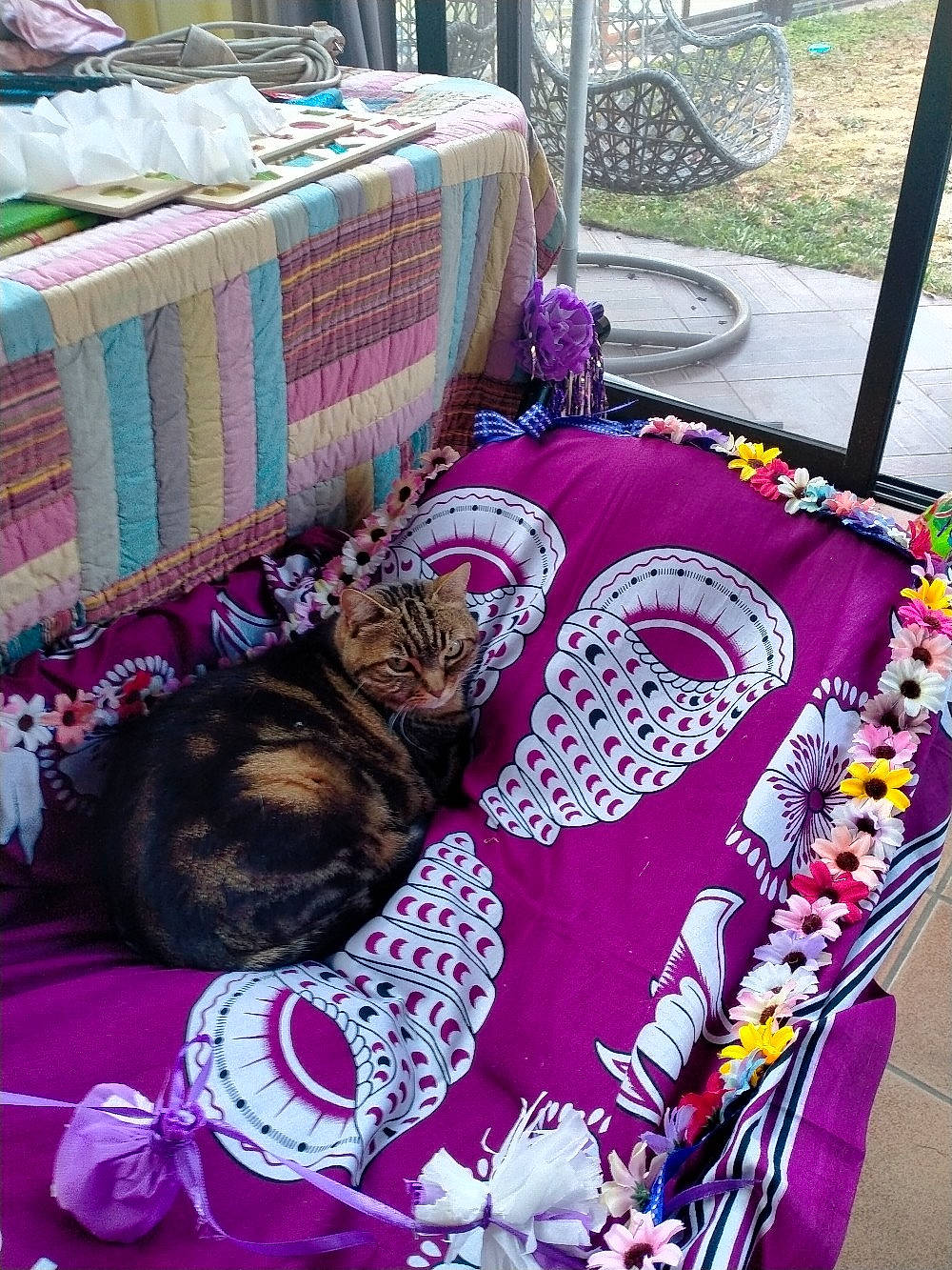 Shisha a rejoint le concours — aidez-le/la à gagner de superbes lots ! art, bag, bedding, carnivore, chair, comfort, craft, creative_arts, felidae, linens, luggage_and_bags, magenta, pattern, pink, product, purple, shoulder_bag, tablecloth, textile, violet