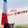 animal, blurred_background, calico_cat, cat, closeup, cute, emojis, feline, flag, french_flag, grass, outdoor, pet, portrait, resting, sky, soccer, sports, support, text_overlay