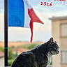 Nina Et Lyly participe au concours pour gagner de l'argent avec cette photo : animal, balcony, building, calm, cat, domestic_cat, flag, french_flag, gray_cat, nature, outdoor, pet, pole, profile, railing, sky, sunset, text_overlay, white_cat, window
