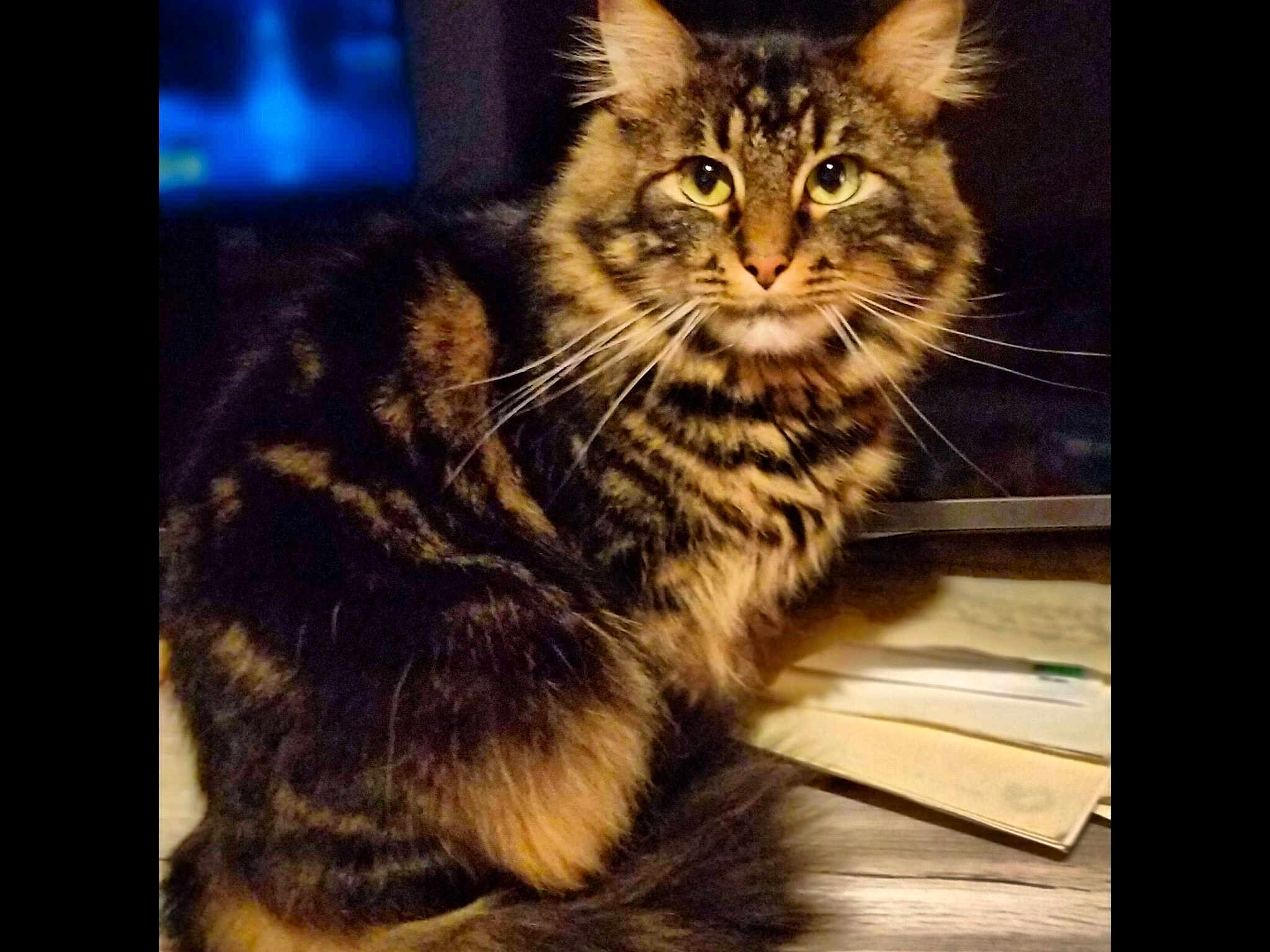 Onyx
