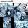 animal, blue_tint, canine, close_up, closeup, collage, companion, dog, domestic_animal, floor, fur, furniture, household, indoor, looking, paw, pet, portrait, sitting, tile_floor