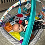 Jaxson joined the competition — help win amazing prizes! baby, play_mat, toy, floor, carpet, crib, shelf, zebra, colorful, blue, black_clothing, white_clothing, infant, indoor, child, face, looking, padded_arch, mirror_toy, hanging_toys