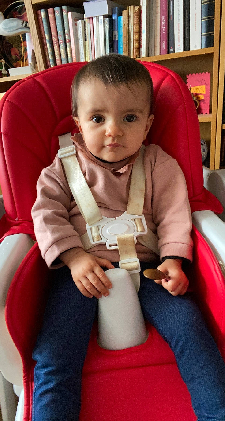 Salomé a rejoint le concours — aidez-le/la à gagner de superbes lots ! baby, baby_toddler_clothing, bookcase, car_seat, chair, cheek, child, comfort, fun, human_body, knee, lap, mammal, person, shelf, shelving, sitting, skin, sleeve, thigh