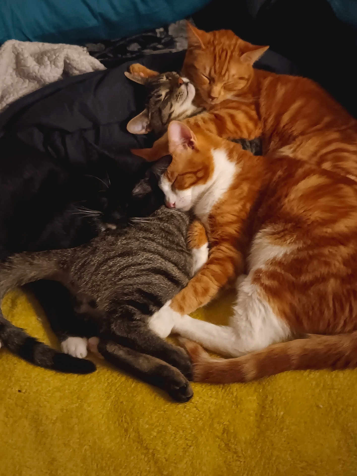 My Boys