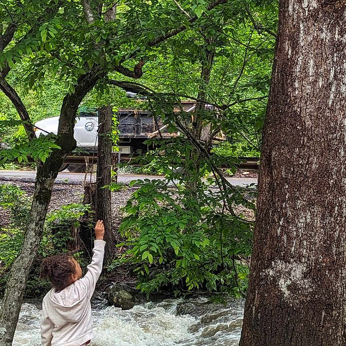 Kinsley is registered to the contest to win money with this photo: architecture, clothing, face, grass, grove, head, land, nature, outdoors, park, path, person, photography, plant, portrait, rock, shorts, tree, vegetation, woodland