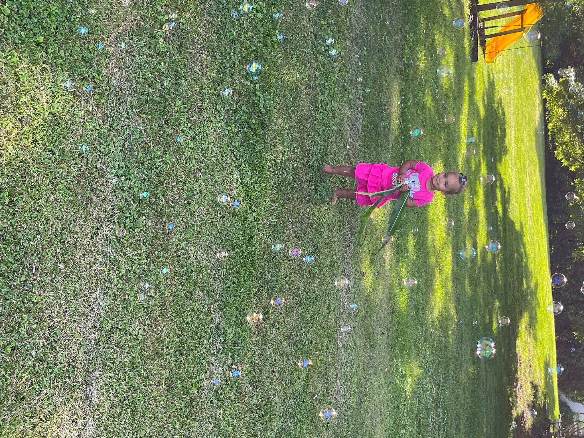 Zyla joined the competition — help win amazing prizes! art, asphalt, field, grass, grassland, groundcover, joy, landscape, leisure, magenta, meadow, people_in_nature, person, plant, recreation, road_surface, shrub, soil, terrestrial_plant, tree