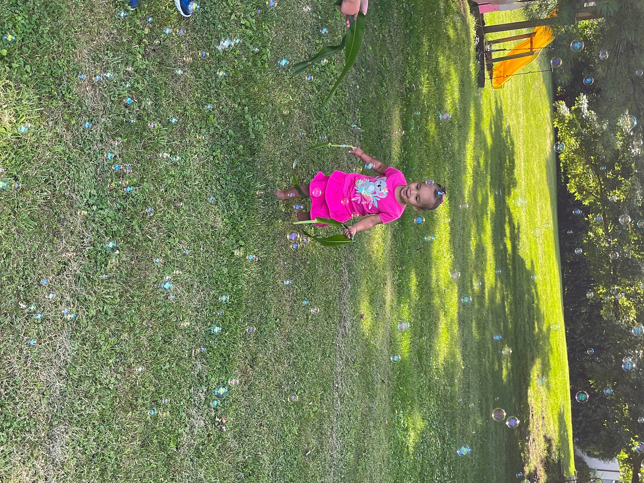 Zyla is registered to the contest to win money with this photo: baby, fun, grass, grass_family, grassland, groundcover, joy, landscape, lawn, leisure, magenta, meadow, people_in_nature, person, plant, recreation, shrub, terrestrial_plant, tints_and_shades, toddler