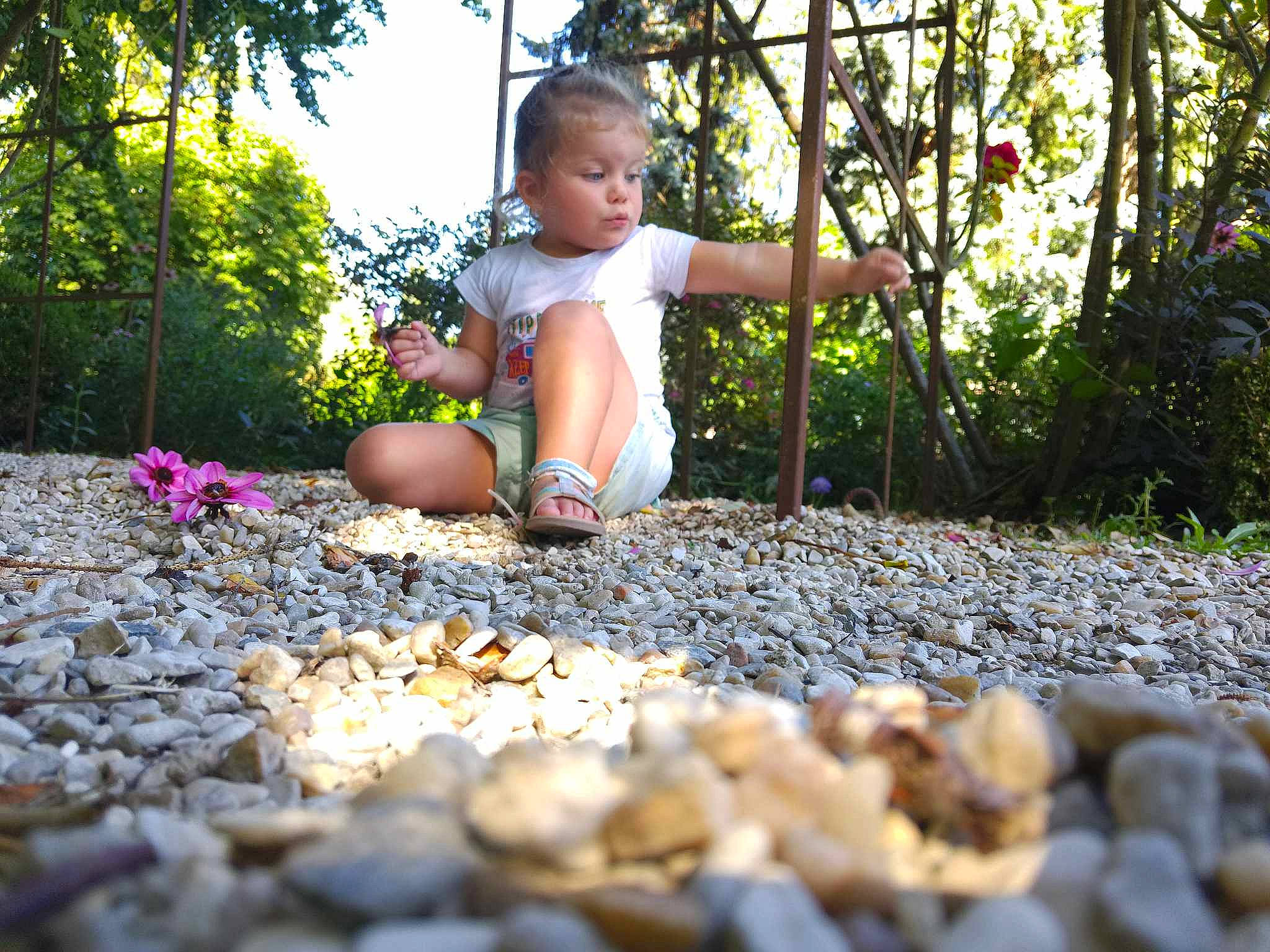 Amaya participe au concours pour gagner de l'argent avec cette photo : baby, baby_toddler_clothing, branch, eye, flower, grass, happy, human_body, leg, leisure, people_in_nature, person, plant, public_space, road_surface, sunlight, toddler, tree, vertebrate, wood