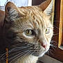 MARIUS participe au concours pour gagner de l'argent avec cette photo :