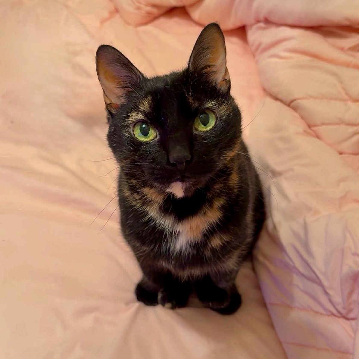 Rosie