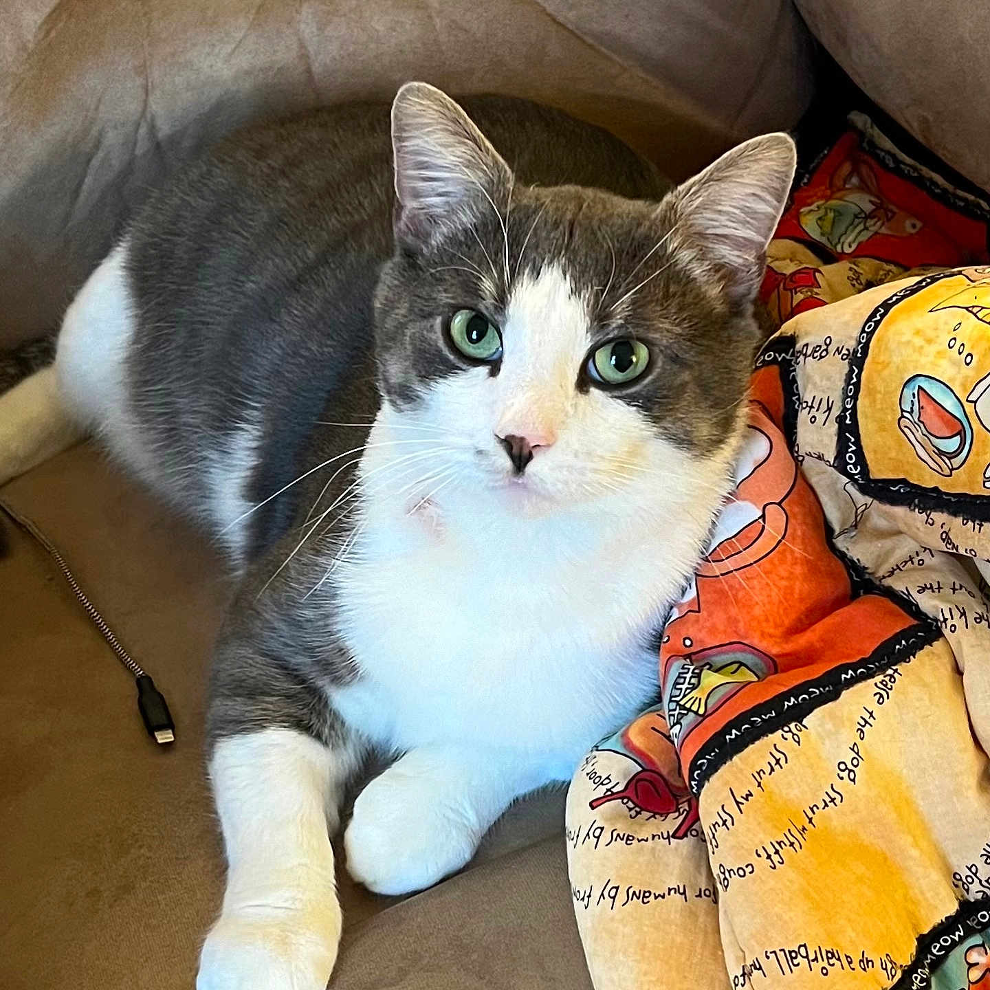 Sammy
