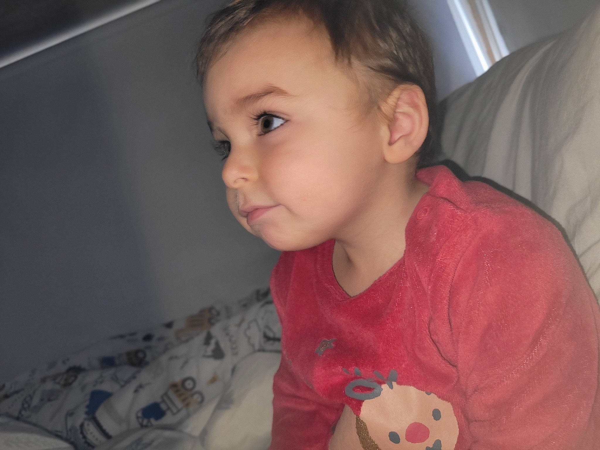 Mattéo participe au concours pour gagner de l'argent avec cette photo : baby_toddler_clothing, cheek, chin, comfort, ear, eyelash, finger, forehead, hair, human_body, iris, lip, mouth, neck, nose, organ, person, skin, sleeve, toddler