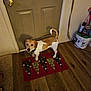 accessories, animal, beagle, bulldog, canine, dog, door, doormat, hardwood, homedecor, hound, indoors, interiordesign, mat, pet, plywood, puppy, rug, strap, wood