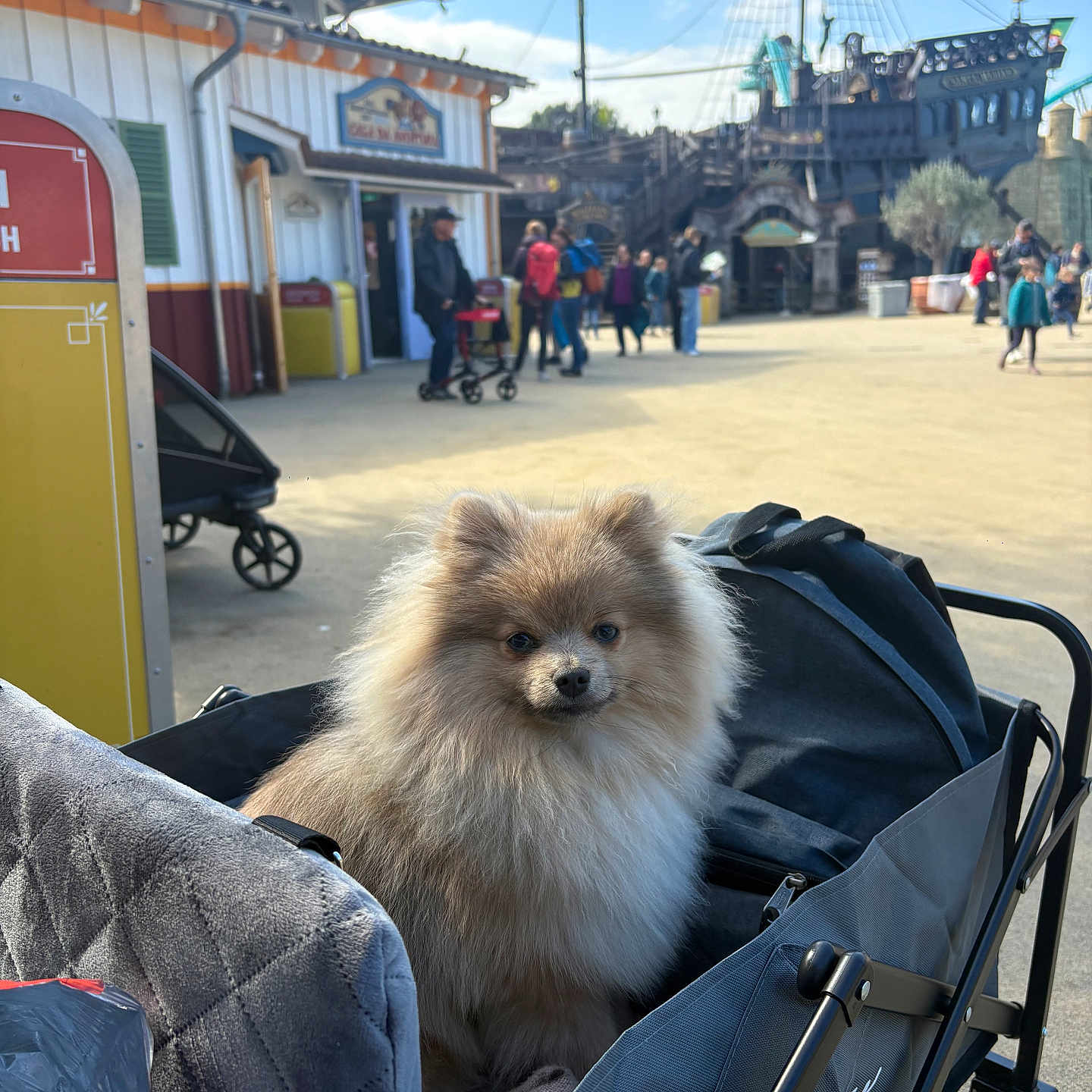 Leyo participe au concours pour gagner de l'argent avec cette photo : dog, pomeranian, stroller, outdoor, people, pirate_ship, building, sky, daytime, pet, animal, walking, tourist, park, leisure, backpack, sunny, cart, crowd, recreation