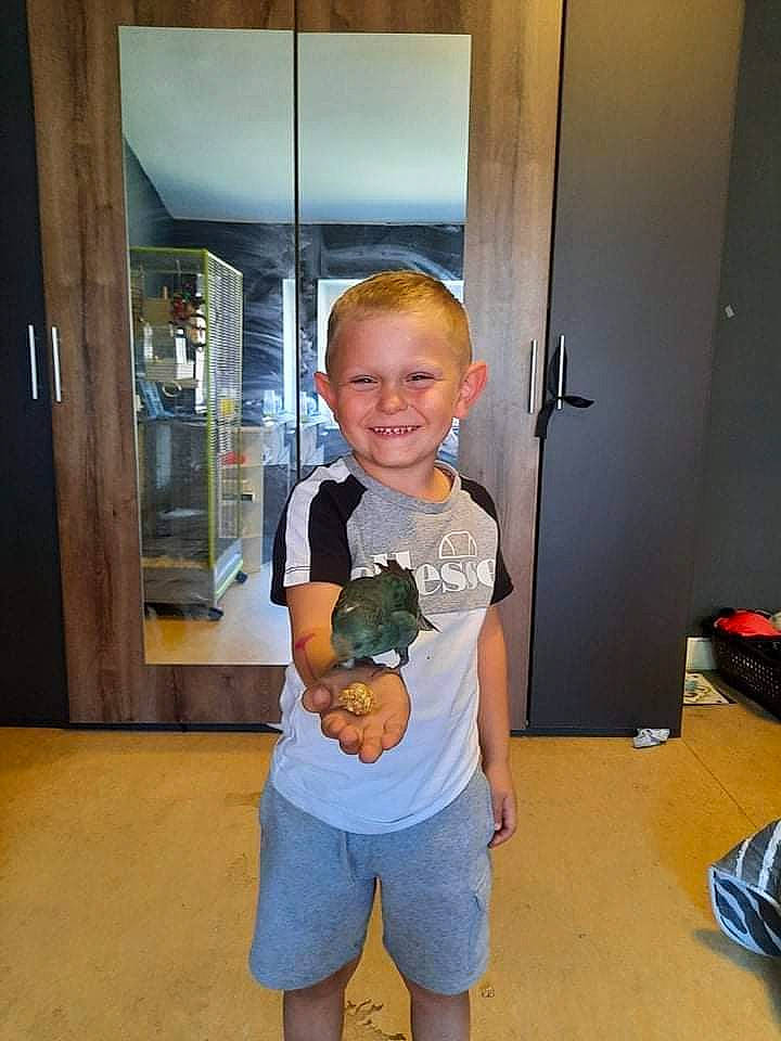 Mylan participe au concours pour gagner de l'argent avec cette photo : arm, door, electric_blue, flooring, fun, happy, hardwood, joy, leg, orange, person, shorts, sleeve, smile, standing, t_shirt, thigh, thumb, toddler, trunk