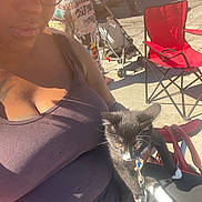Jaxx is registered to the contest to win money with this photo: cat, black_and_white_cat, pet, animal, person, sunglasses, outdoor, sunlight, lap, sitting, collar, leash, whiskers, yellow_eyes, white_paws, red_chair, stroller, event, street, portrait